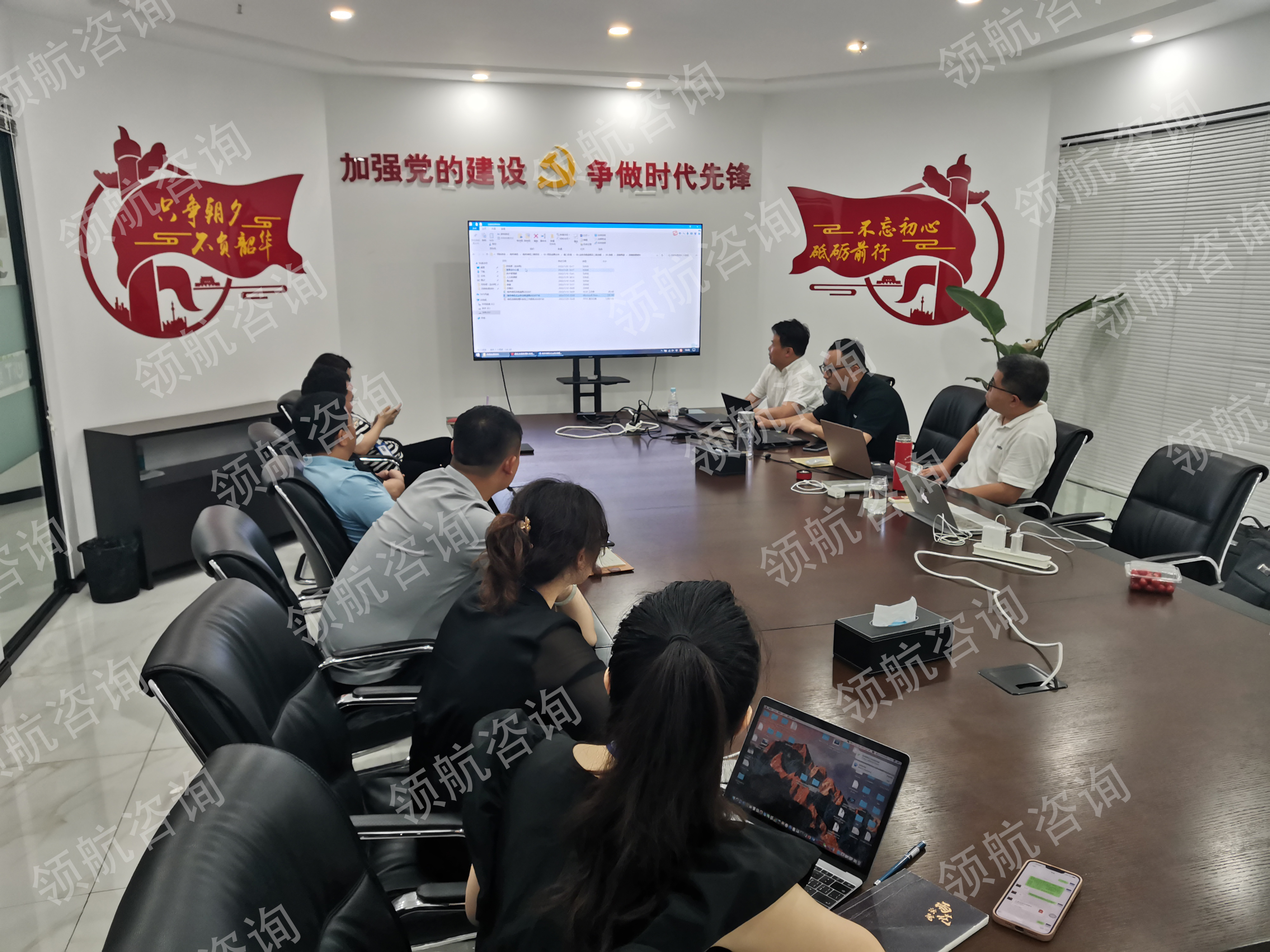 南京维拓科技流程评审会1.jpg